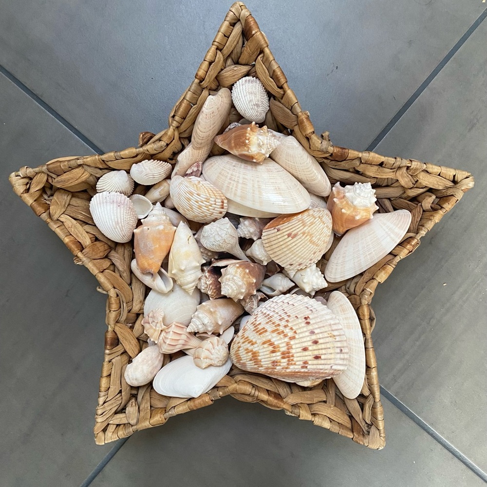 Star Basket with Sea Shells